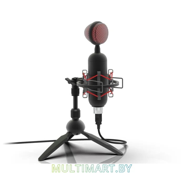 Микрофон Ritmix RDM-230 USB Eloquence